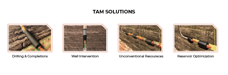 TAM Solutions